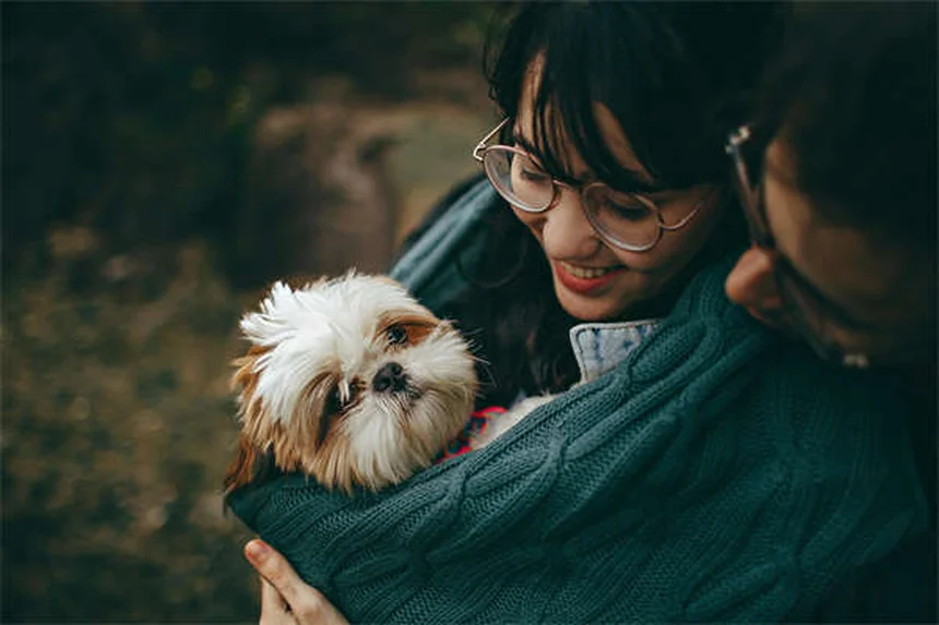 大型犬がかかりやすい病気や適切な運動量は？知っておくべき全知識